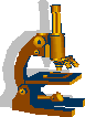 microscopy